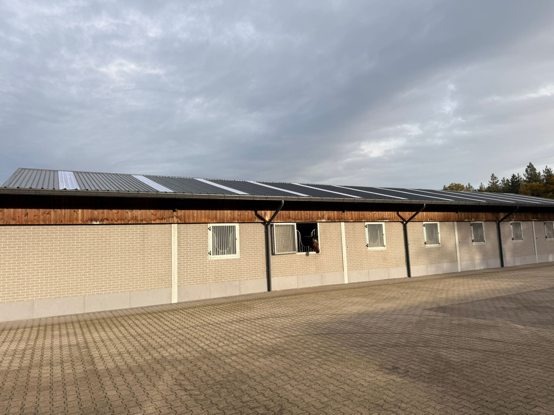 Vernieuwd staldak met zonnepanelen over de volledige lengte